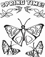 Spring Coloring Butterflies Printable Click sketch template