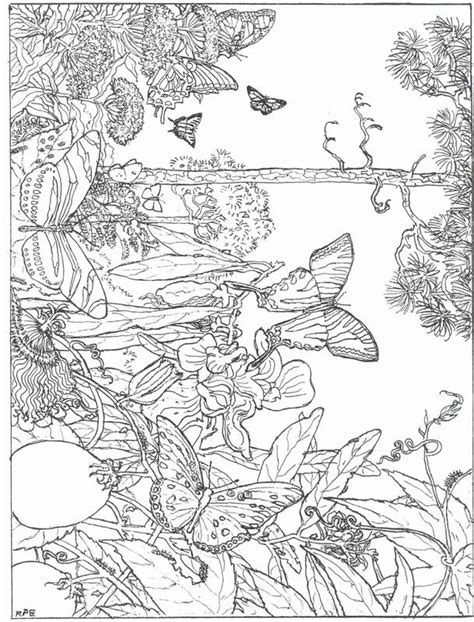 nature coloring pages  adults  barry morrises coloring pages