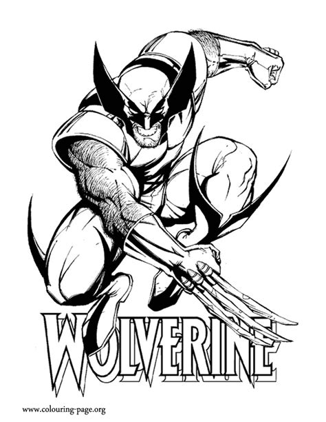 men wolverine   adamantium claws coloring page