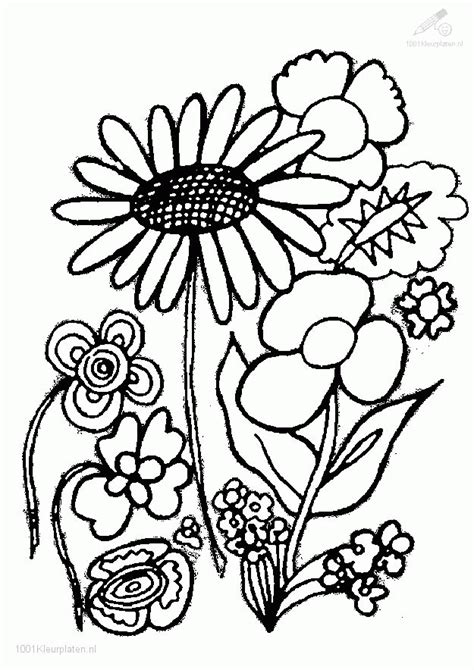 plants  flowers colouring pages coloring home