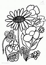 Coloring Plant Plants Pages Popular Quality High sketch template