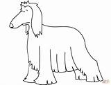 Coloring Afghan Hound Funny Pages sketch template