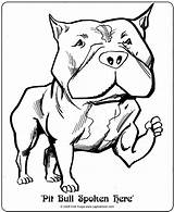 Pitbull Colorir Pitbulls Dogs Bull Cachorro Pitbul Coloringhome sketch template