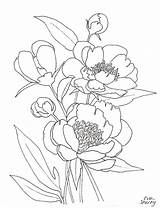 Coloring Peony Pages Printable Flower Color Template Getcolorings Getdrawings sketch template