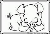 Piglet Pigs sketch template