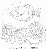 Picasso Triggerfish Humu Lineart Corals Over Anemones Royalty Illustration Coloring Bannykh Alex Clipart Vector Pages Illustrations sketch template