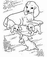 Coloring Animals Pages Babies Animal Their Mother Farm Dog Puppies Baby Puppy Playing Her Play Kids Printable Watching Print Getcolorings sketch template