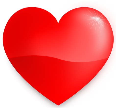 heart png transparent background   heart png