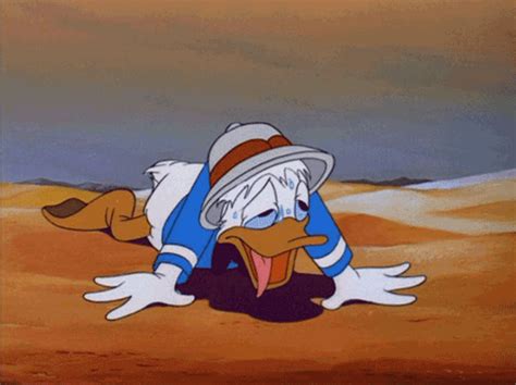 Thirsty Donald Duck  Thirsty Donald Duck Desert Discover And My