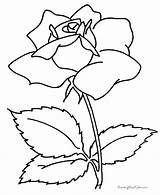 Flower Coloring Book sketch template