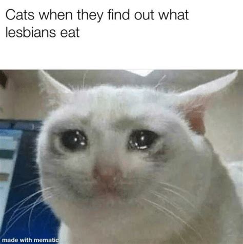 25 Best Memes About Lesbians Lesbians Memes