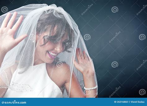 bruid die bruidssluier draagt stock foto image  glimlach kaukasisch