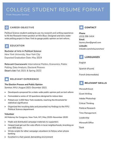 resume format    professional examples