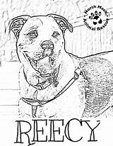 Reecy Coloring Rescue Pages Animal Pdf sketch template