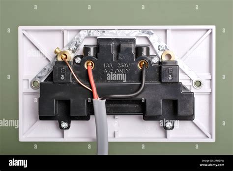 electric socket wiring design diagrom  firing