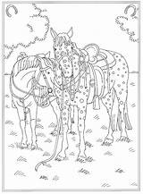 Kleurplaten Manege Reitschule Reiterhof Paard Pferde Schleich Paarden Veulen Paardenstal Malvorlagen1001 Printen sketch template
