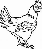 Coloring Wecoloringpage Hen Pages Chicken Cock Outline Clip Flower sketch template
