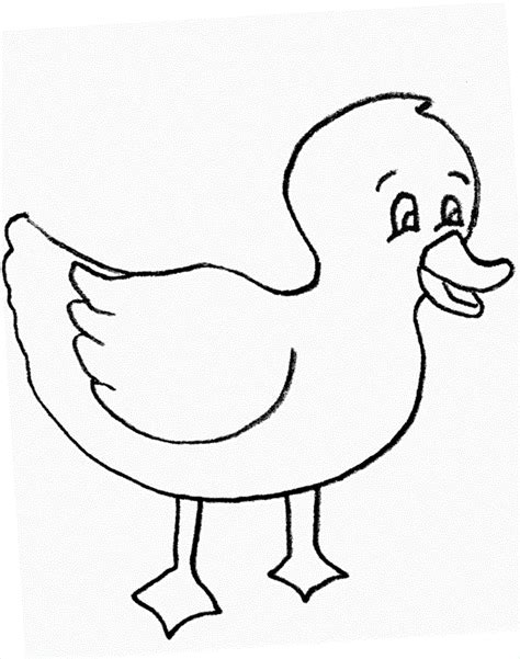 duckling coloring pages coloring home