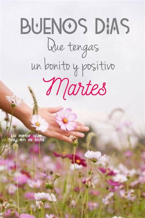 feliz martes bellas imagenes  frases pagina  de  hermosasimagenesnet