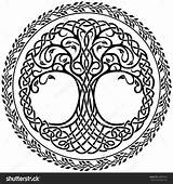 Celtic Yggdrasil Baum Keltische Keltischer Knot Lebens Lebensbaum Spool Arbre Norse Krieger татуировки Vectorified Dekorativer символами Floraler Vektorgrafik Celtique Knots sketch template
