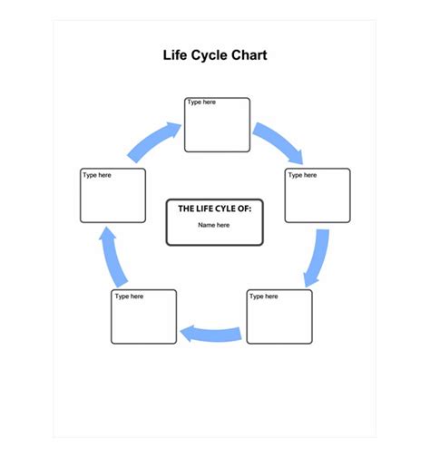 life cycle chart life cycle chart template