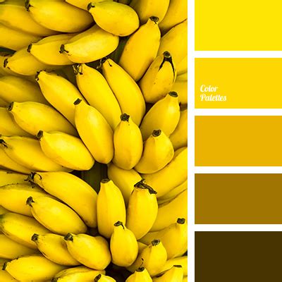 color  bananas color palette ideas