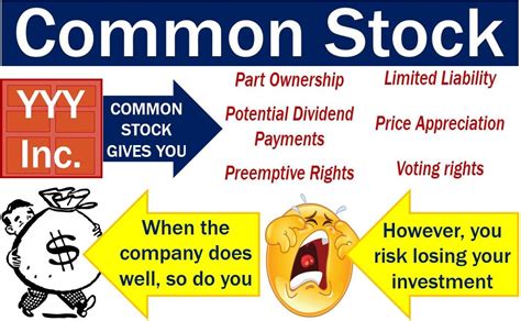 common stock definition  meaning market business news