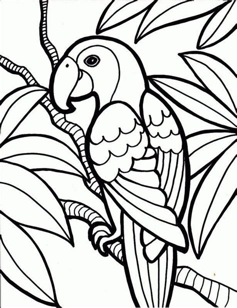 medium coloring pages animals coloring jungle coloring pages bird