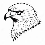 Eagle Drawing Hawk Head Clipart Simple Line Drawings Draw Bird Bald Easy Step Beak Cliparts Pencil Flying Eagles Library Clipartmag sketch template