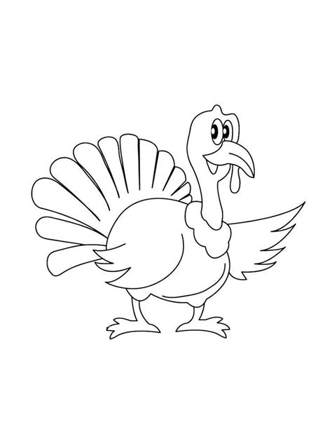 detailed turkey coloring pages turkey   type  large bird