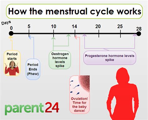 calculating your menstrual cycle nigerian health blog