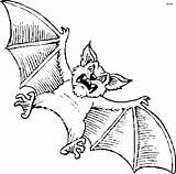 Bat Coloring Pages Color Printable Kids Halloween Scary Library Clipart Popular Book Coloringhome sketch template