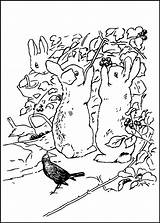 Rabbit Peter Coloring Pages Site sketch template