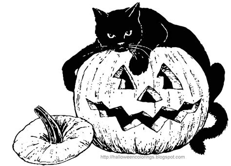 halloween cat  pumpkin coloring pages jesyscioblin