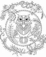 Coloring Pages Forest Adult Owl Bing Adults Enchanted sketch template