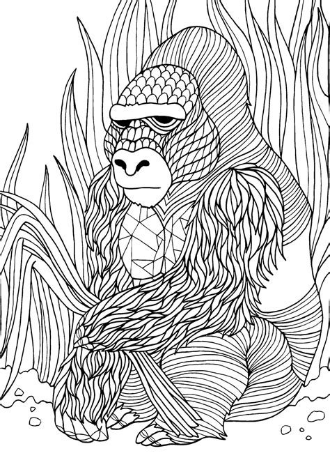 gorilla adult colouring page colouring  sheets art craft art