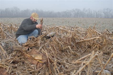 5 Best Ways To Conceal Your Layout Blind Wildfowl