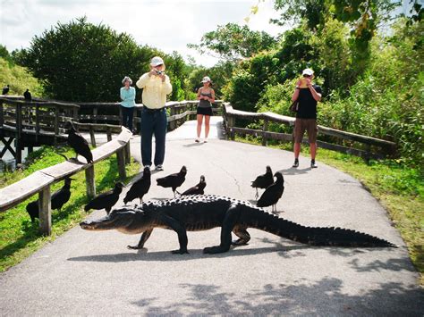 epic florida national parks worth visiting helpful guide