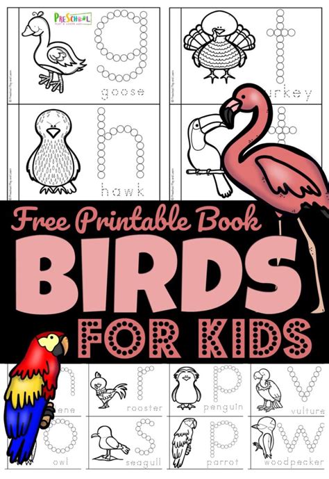 birds  preschoolers printable book