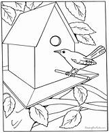 Coloring Pages Printable House Kids Adults Kid Draw Bird Sheets Birds Dementia Colouring Patients Templates Adult Boys Learn Print Easy sketch template
