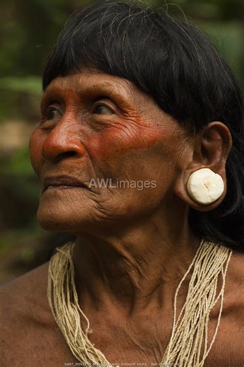 Awl Ecuador Huaorani Indian Woman Dabe Baiwa With