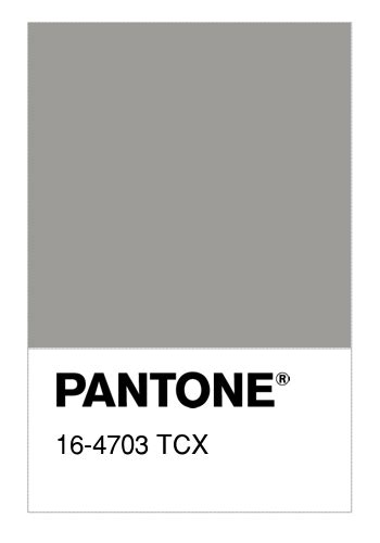 Pantone Tcx Ghost Gray Color Palettes And Color Scheme Hot Sex Picture
