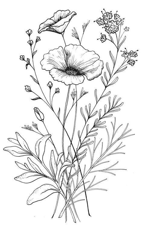 flower drawings ideas  pinterest flower sketches flowers