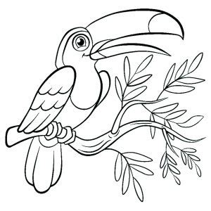 birds  printable coloring pages  kids