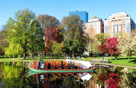 boston public garden  complete guide