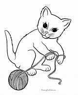 Coloring Pages Kitten Printable Cat Print Printing Help sketch template