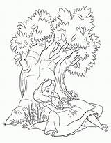 Alicia Pais Maravillas Alice Colorare País Wonderland Sotto Lalbero Malvorlagen Maravilhas Bajo Alicja Dormida Addormentato Era Cheshire Baum Eingeschlafen Wunderland sketch template