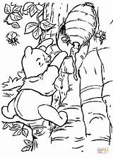 Coloring Pooh Pages Honey Taking Some Printable sketch template