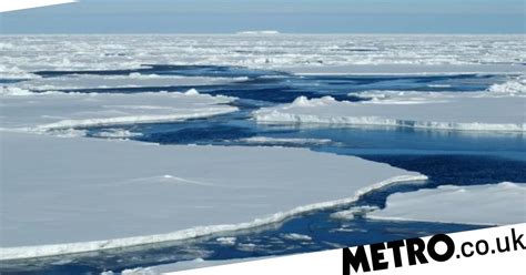 There S Chlamydia In The Arctic Ocean Metro News