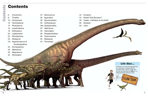 big   favorite dinosaur find   paleoaerie